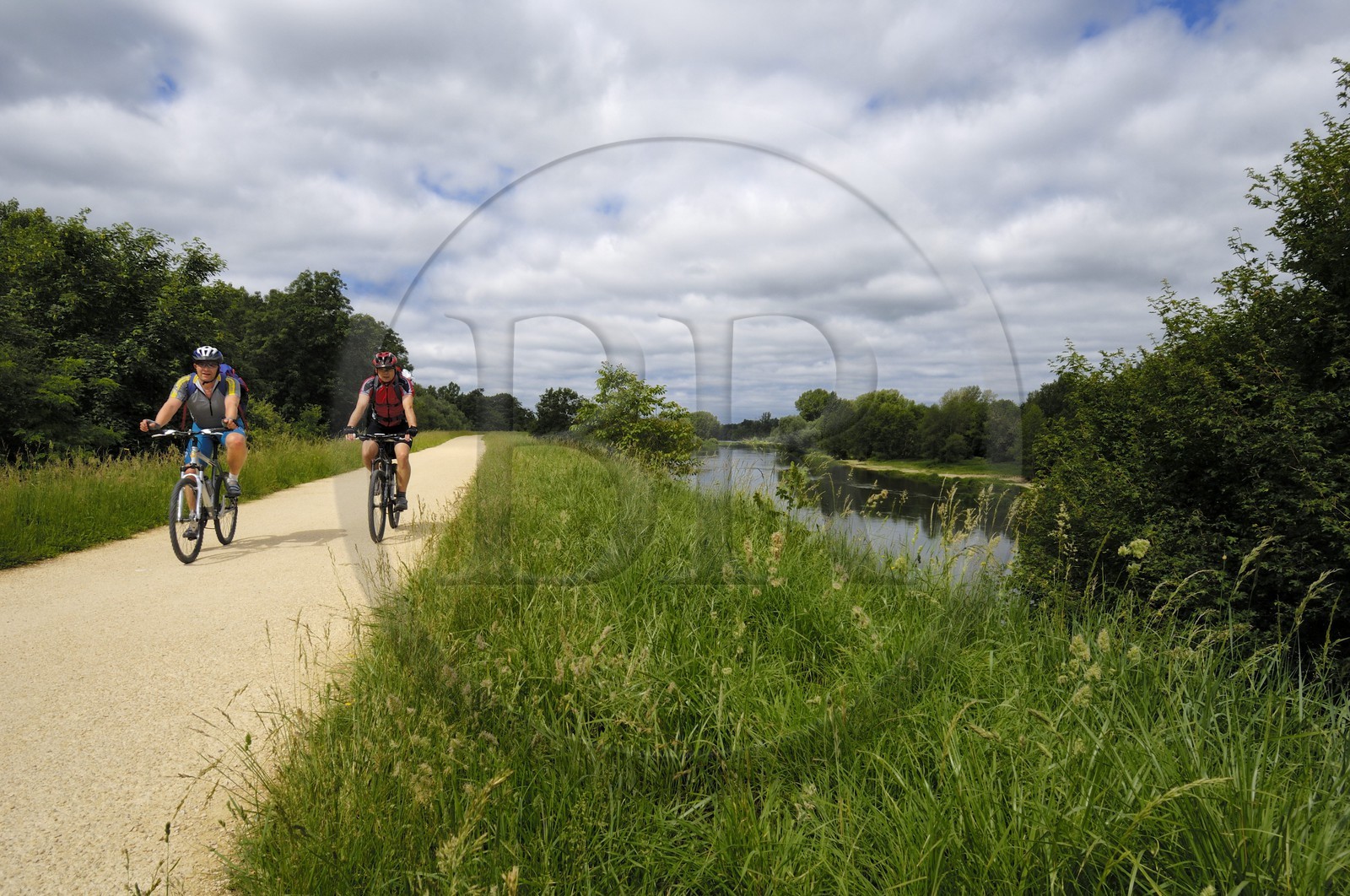 France, Indre et Loire (37), piste cyclable au bord du Cher entre Savonnières et Villandry