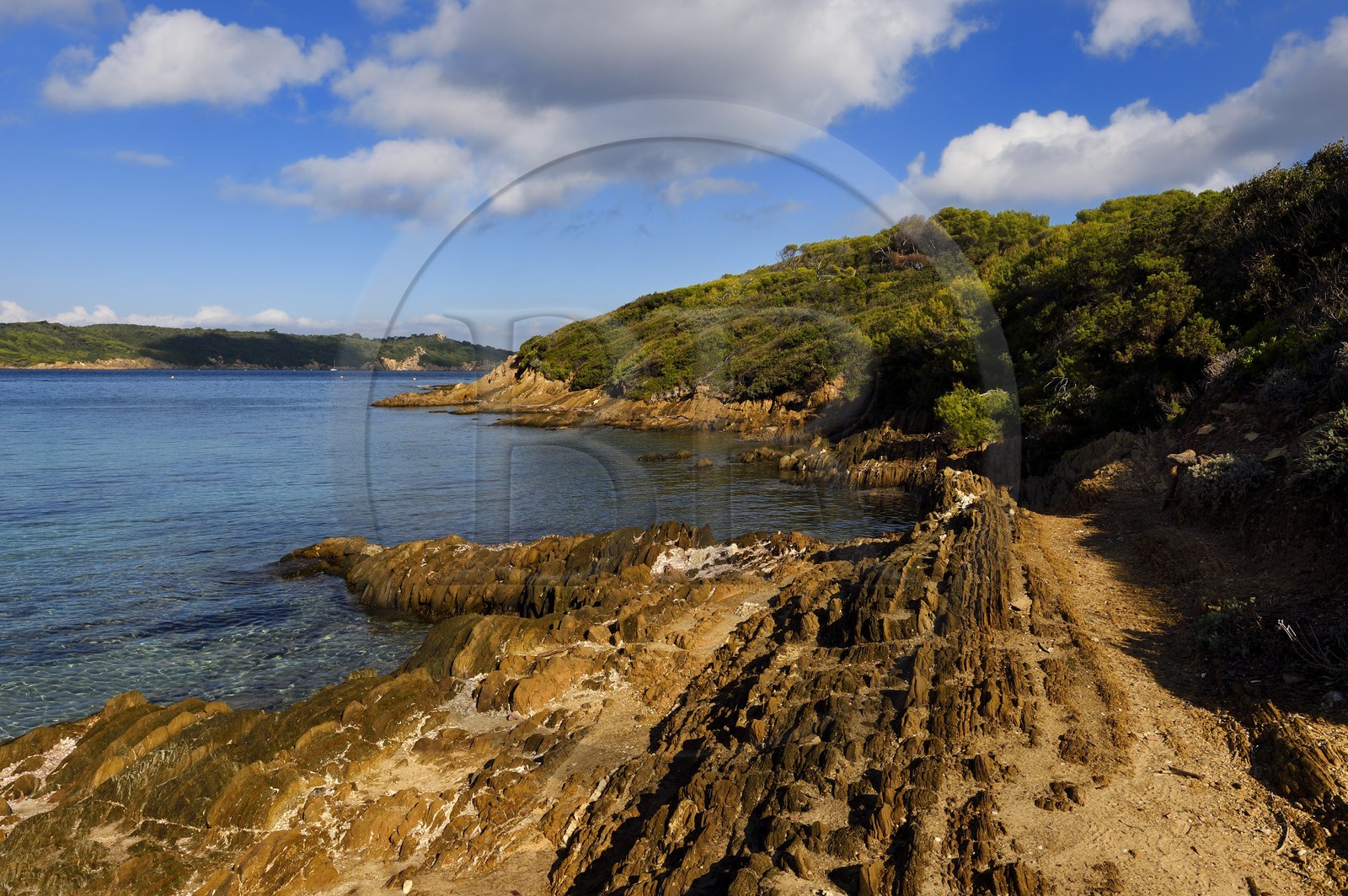 France, Var (83), Iles d'Hyères, parc national de Port Cros, Ile de Port-Cros, plage du Sud