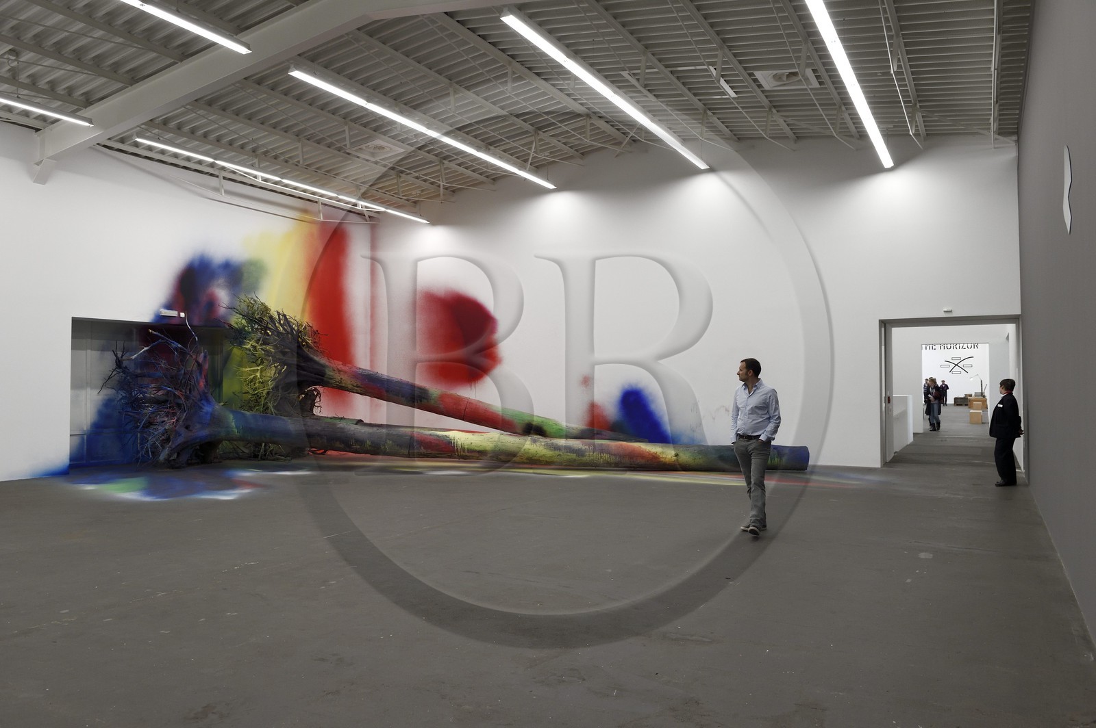 Allemagne, Berlin, Moabit, Hamburger Bahnhof, ancienne gare du XIXème siècle devenue en 1996 un musée d'art contemporain (Museum für Gegenwart), I Think This Is a Pine Tree (2013) par Katharina Grosse