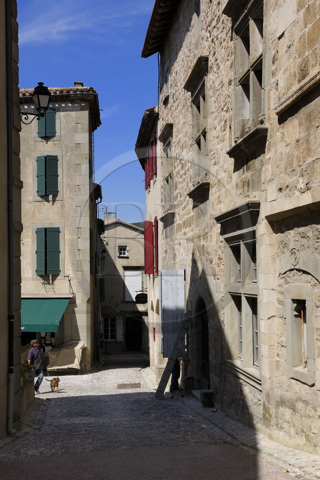 France, Aude (11), village de Caunes-Minervois, l'Hôtel d'Alibert  (16è s.)
