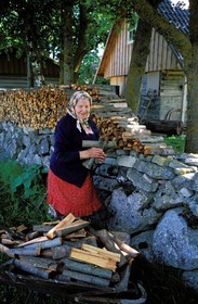 Estonia (Baltic States), Saaremaa Island, from the beautiful season everybody prepares the wooden reserves for winter
