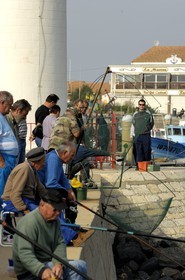 France, Charente-Maritime (17), Ile d'Oléron, port de la Cotinière