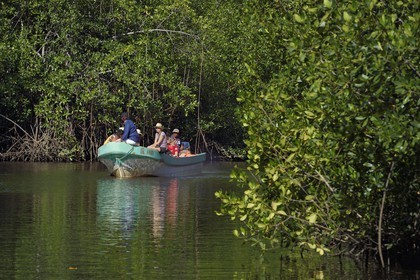 Nicaragua, la côte pacifique de Leon, découverte en bateau de la mangrove du parc national Isla Juan Venado