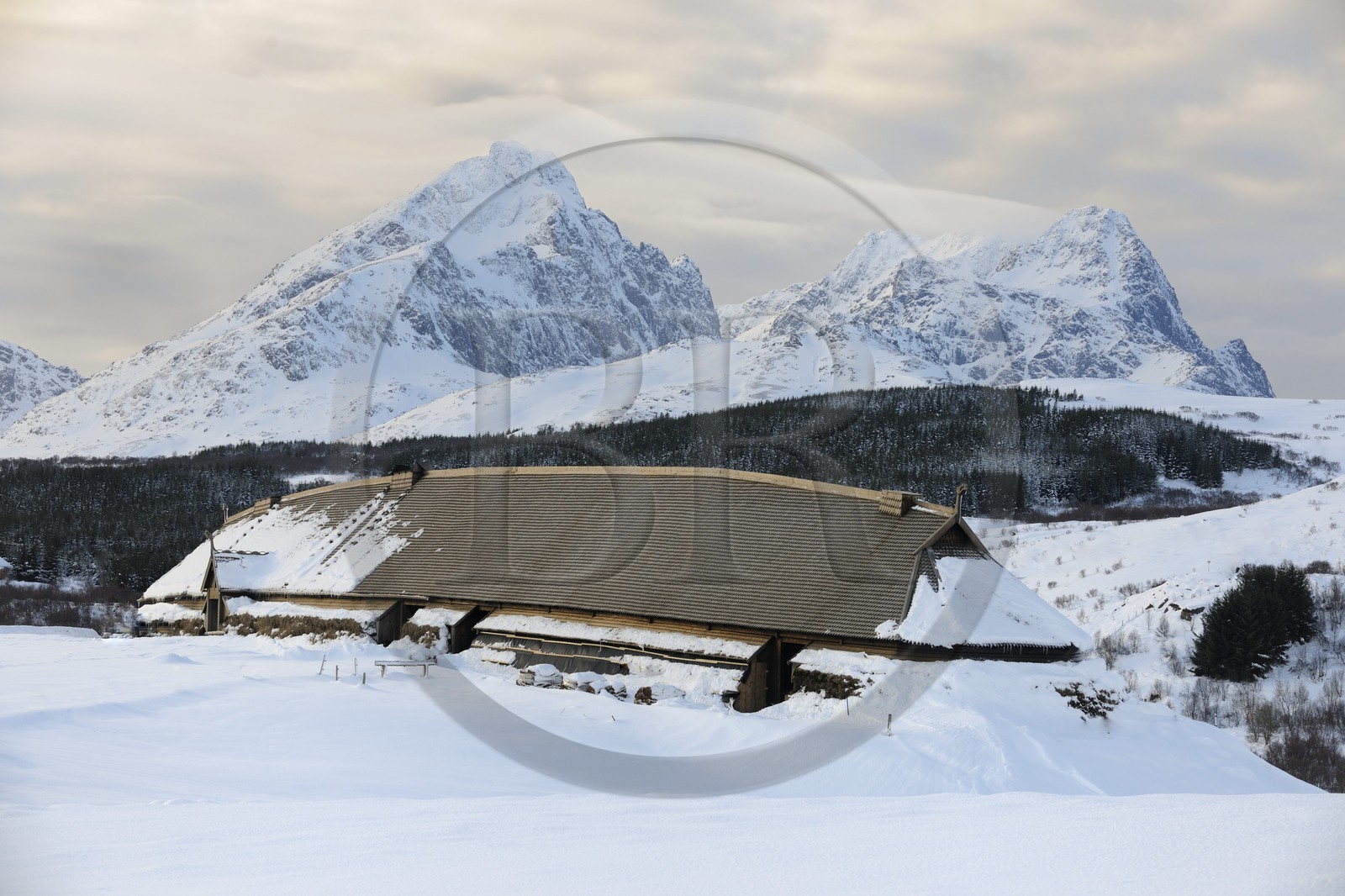 Norvège, Nordland, Îles Lofoten, musée viking de Borg sur l'ile de Vestvagoy en hiver, reconstruction d'une maison ancienne longue de 83 m