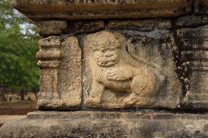 Sri Lanka, province du Centre-Nord, Polonnaruwa, l'ancienne capital du pays (XIe au XIIIe siècle) est classée au Patrimoine Mondial de l'UNESCO, Chambre du Conseil (Raja Sabahawa) datant du XIIe siècle, détail d'une frise en bas-relief représentant un lion