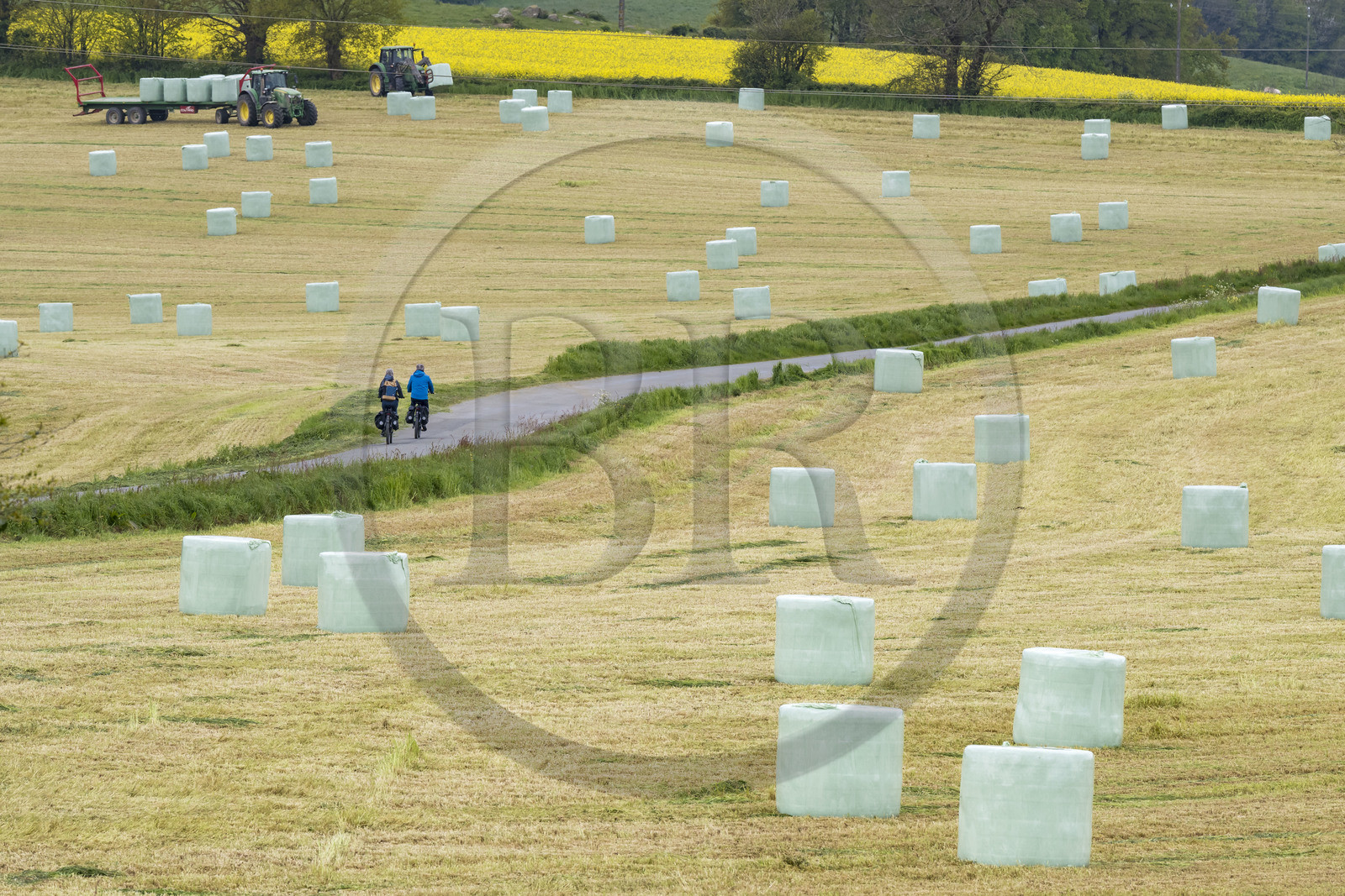 France, Vendée (85), Saint-Mesmin, randonnée cycliste sur la piste de la véloroute Vendée Vélo Tour