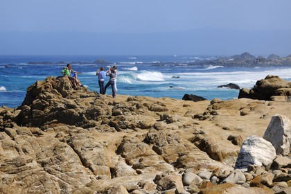 United States, California, 17 Mile Drive, Spanish Bay