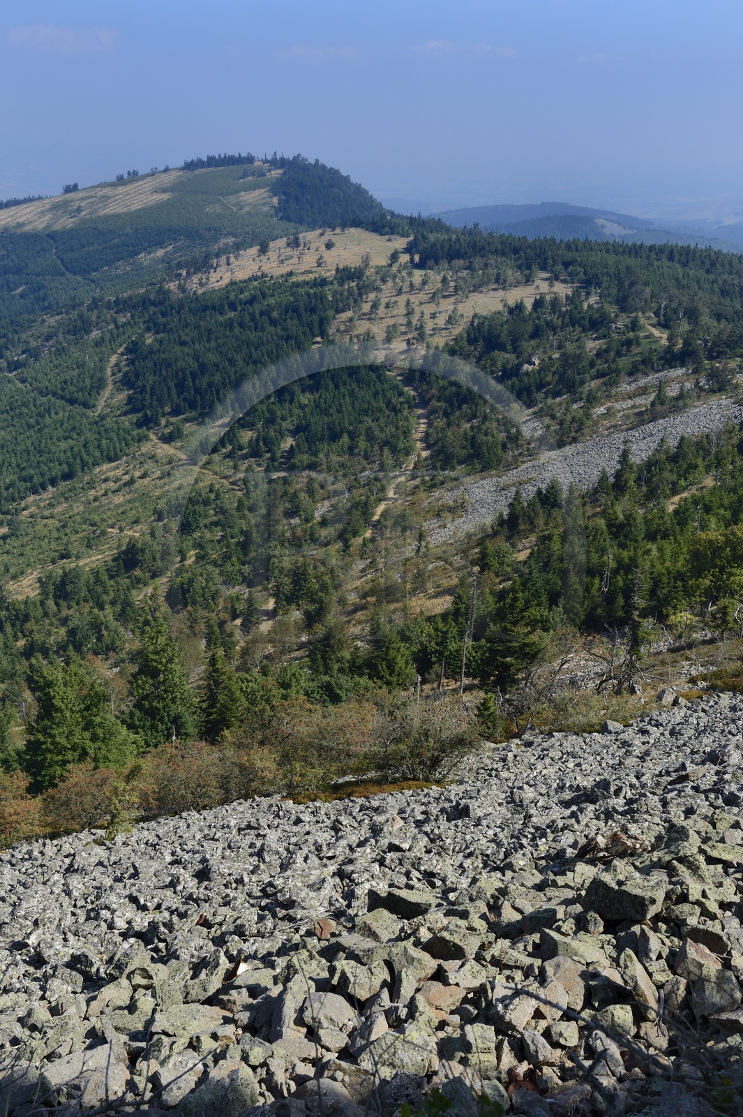 France, Loire, Parc Naturel Regional du Pilat (Natural Regional Park of Pilat), chirat (local name given to the rock blocks slide that cover the slopes in talus forms) at the Cret de l'Oeillon (Oeillon crest) in the Pilat massif
