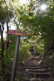 Portugal, Ile de Madère, randonnée par la levada do Alecrim dans La forêt de Rabaçal, la laurisilva, unique vestige de la forêt primaire qui recouvrait le sud de l’Europe il y a des millions d’années
