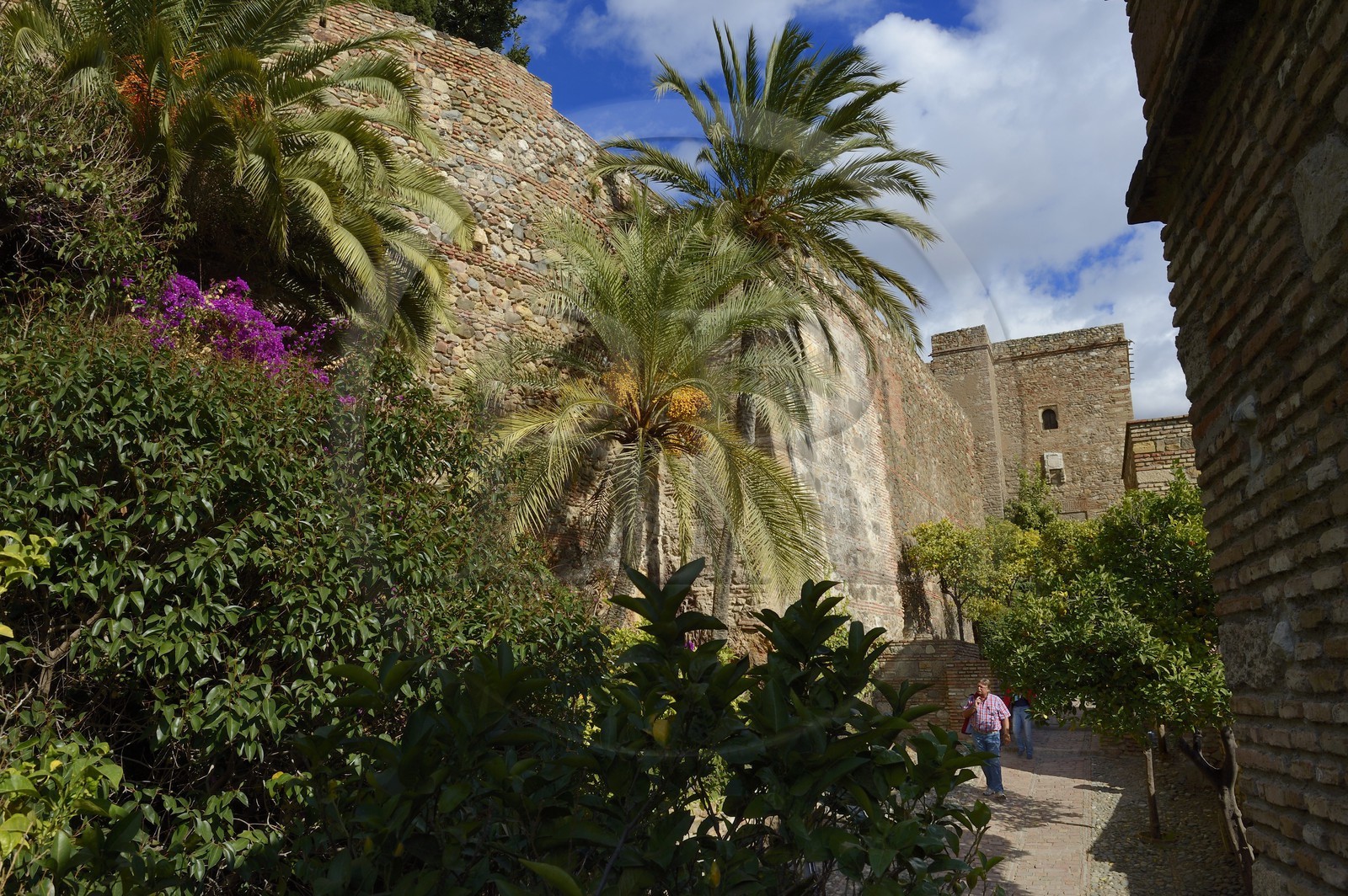 Espagne, Andalousie, Malaga, la Alcazaba, les remparts et la Tour du Christ