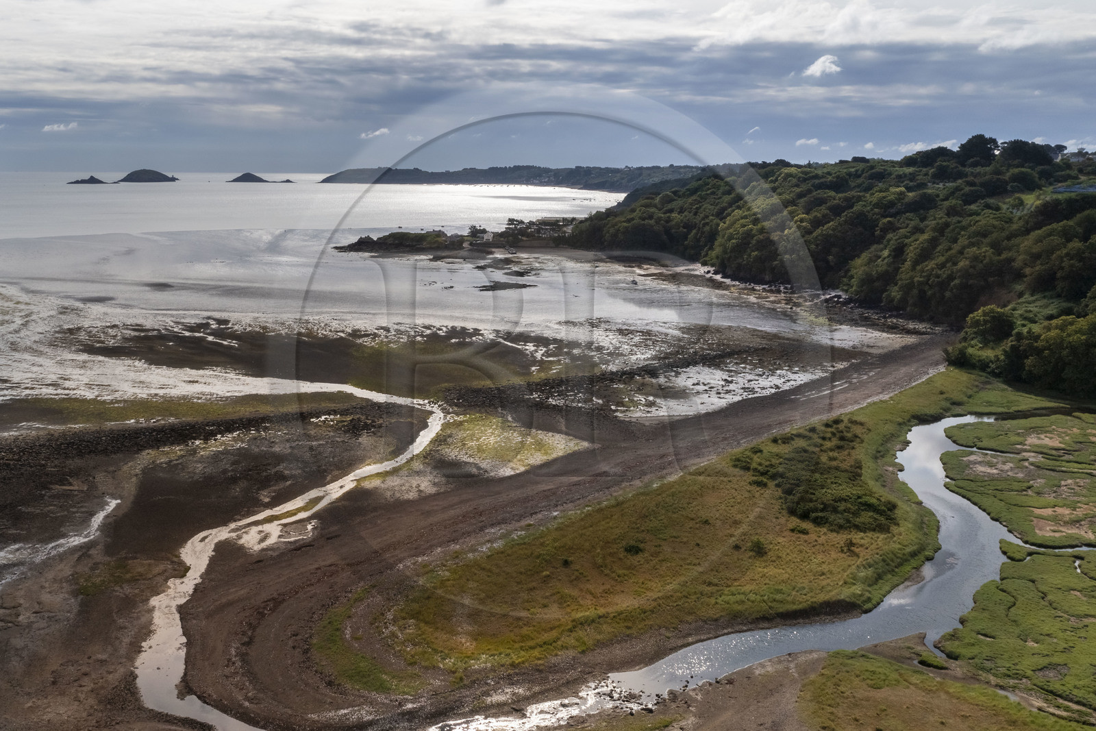 France, Cotes d'Armor, Paimpol, the shore in front of Beauport Abbey (aerial view)