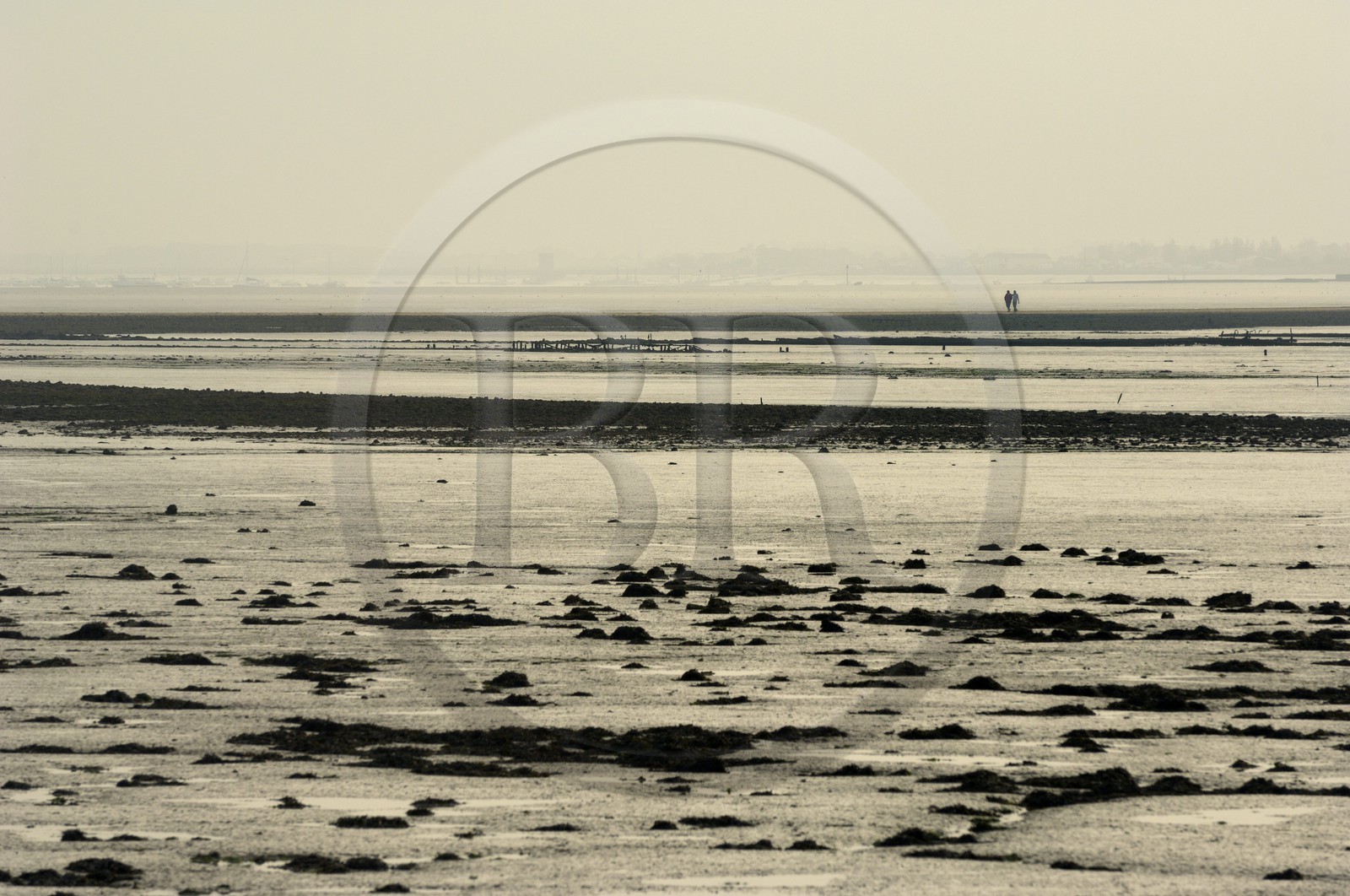 France, Charente-Maritime (17), Ile Madame