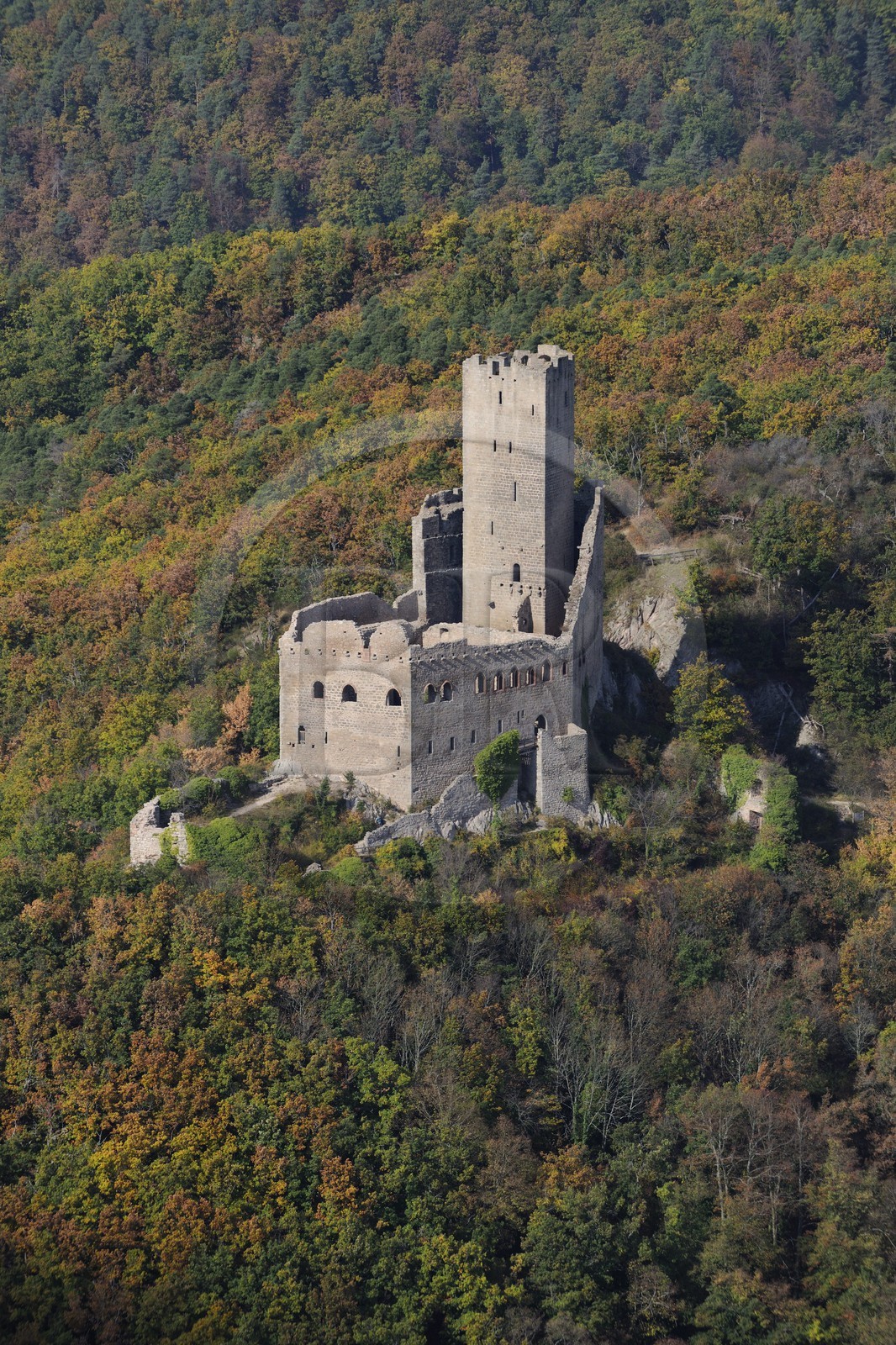 France, Bas-Rhin (67), le château de Ortenbourg dans la forêt des Vosges (photo aérienne)