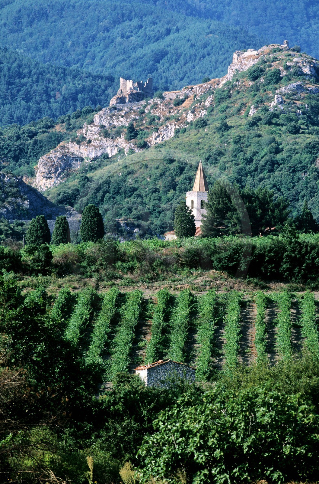 France, Pyrénées-Orientales (66), région des Fenouillèdes, Notre-Dame de Laval et château de Fenouillet