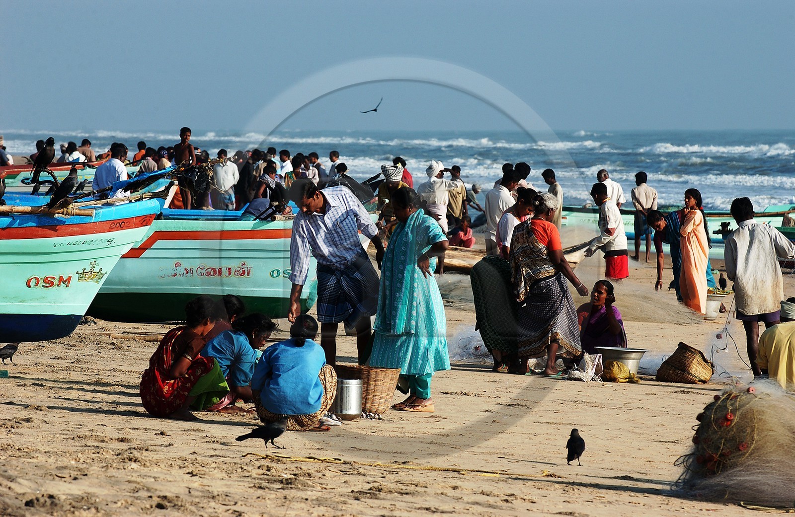 India, Tamil Nadu state, Velanganni beach, fisherman and market