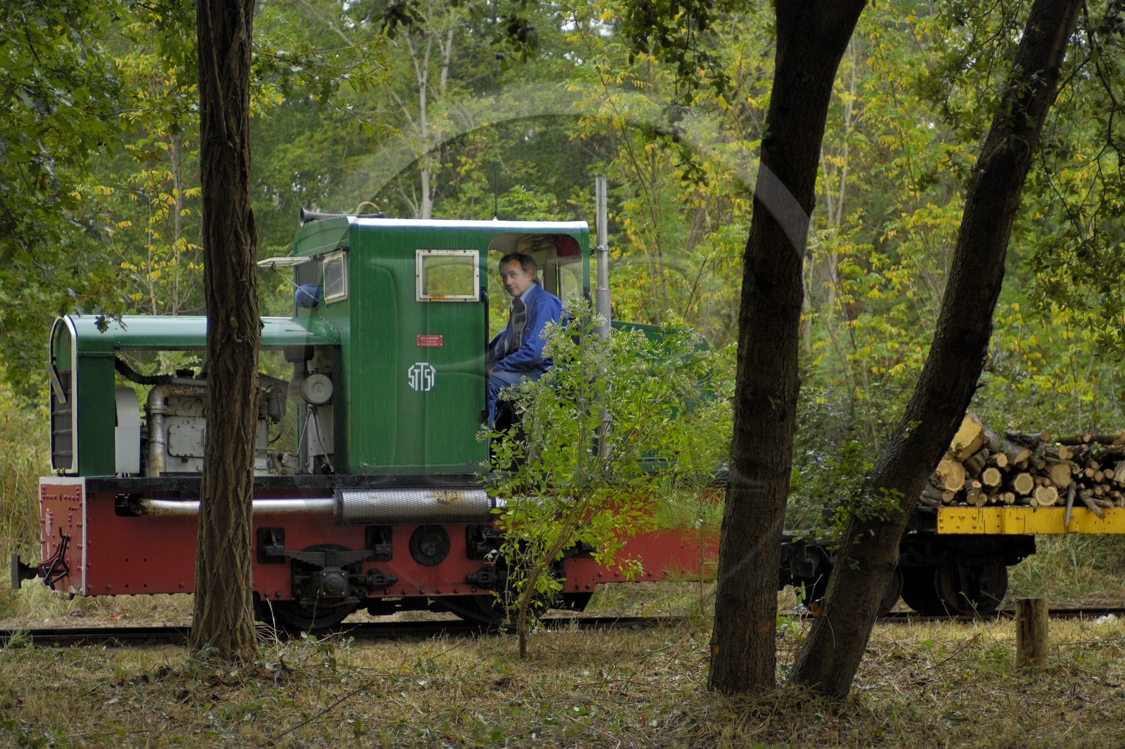 France, Charente-Maritime (17), Ile d'Oléron, pointe de Maumusson, petit train de Saint-Trojan-Les-Bains
