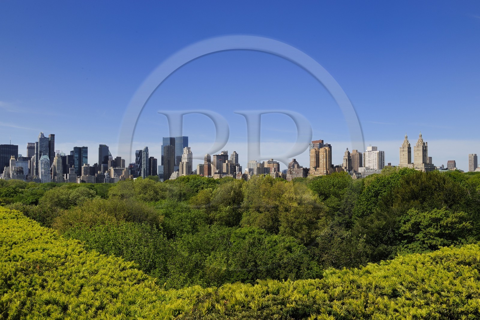 Etats-Unis, New York, Manhattan, East Side, les immeubles de Midtown et Central Park vus depuis la terrasse du Metropolitan Museum of art (MET)