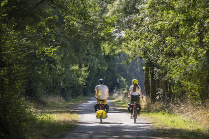 France, Maine-et-Loire, Loire valley listed as World Heritage by UNESCO, Saumur towards Saint-Hilaire, cycling along the banks of the Loire on the Loire à Vélo cycle path, bike with a trailer carrying camping equipment