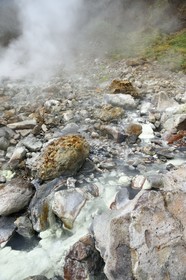 Caribbean, Dominica Island, Castle Bruce, Morne Trois Pitons National Park listed as World heritage by UNESCO, Valley of Desolation, river of hot springs, whose unique color is due to the presence of calcium, carbon, sulfur and iron, on the trail leading to Boiling Lake