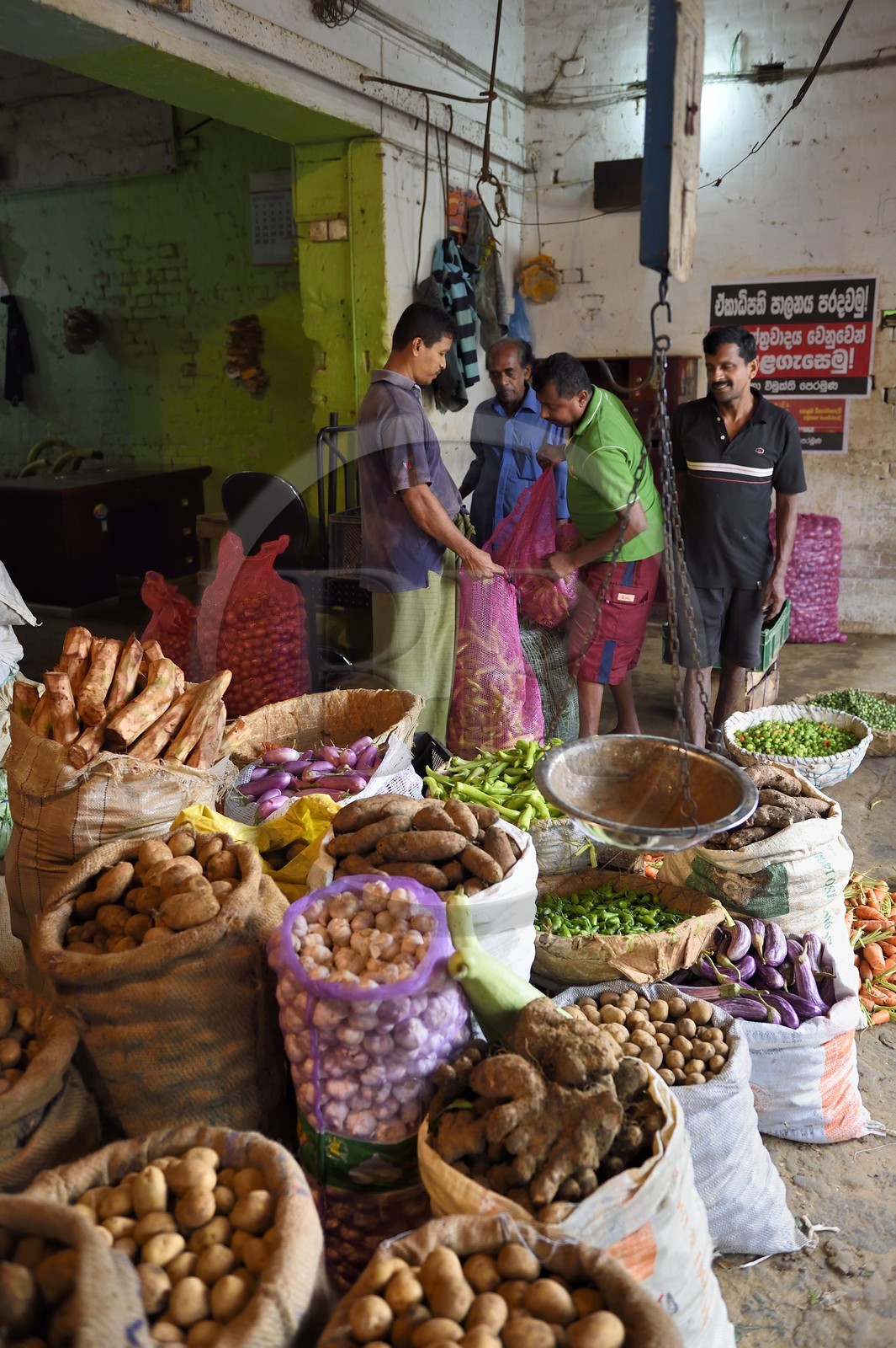 Sri Lanka, province de l'ouest, district de Colombo, Colombo, le marché de fruits et légumes Manning dans le quartier de Pettah