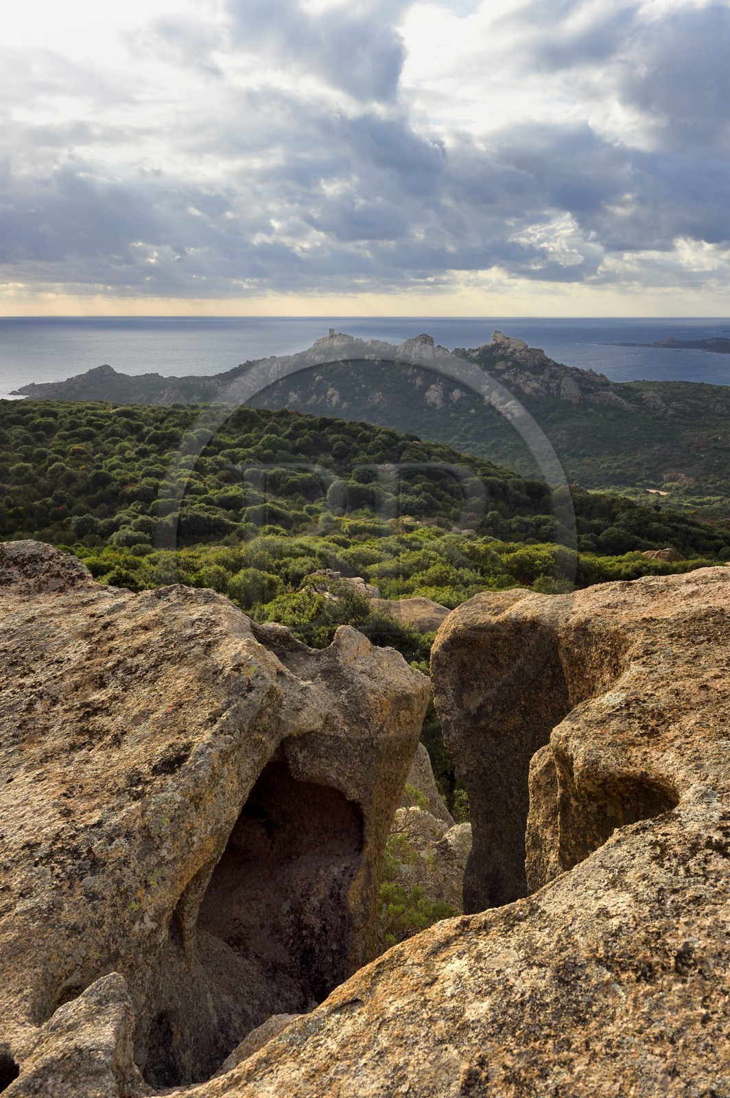 France, Corse-du-Sud (2A), le site naturel de Cala de Roccapina, la tour génoise et le rocher du Lion