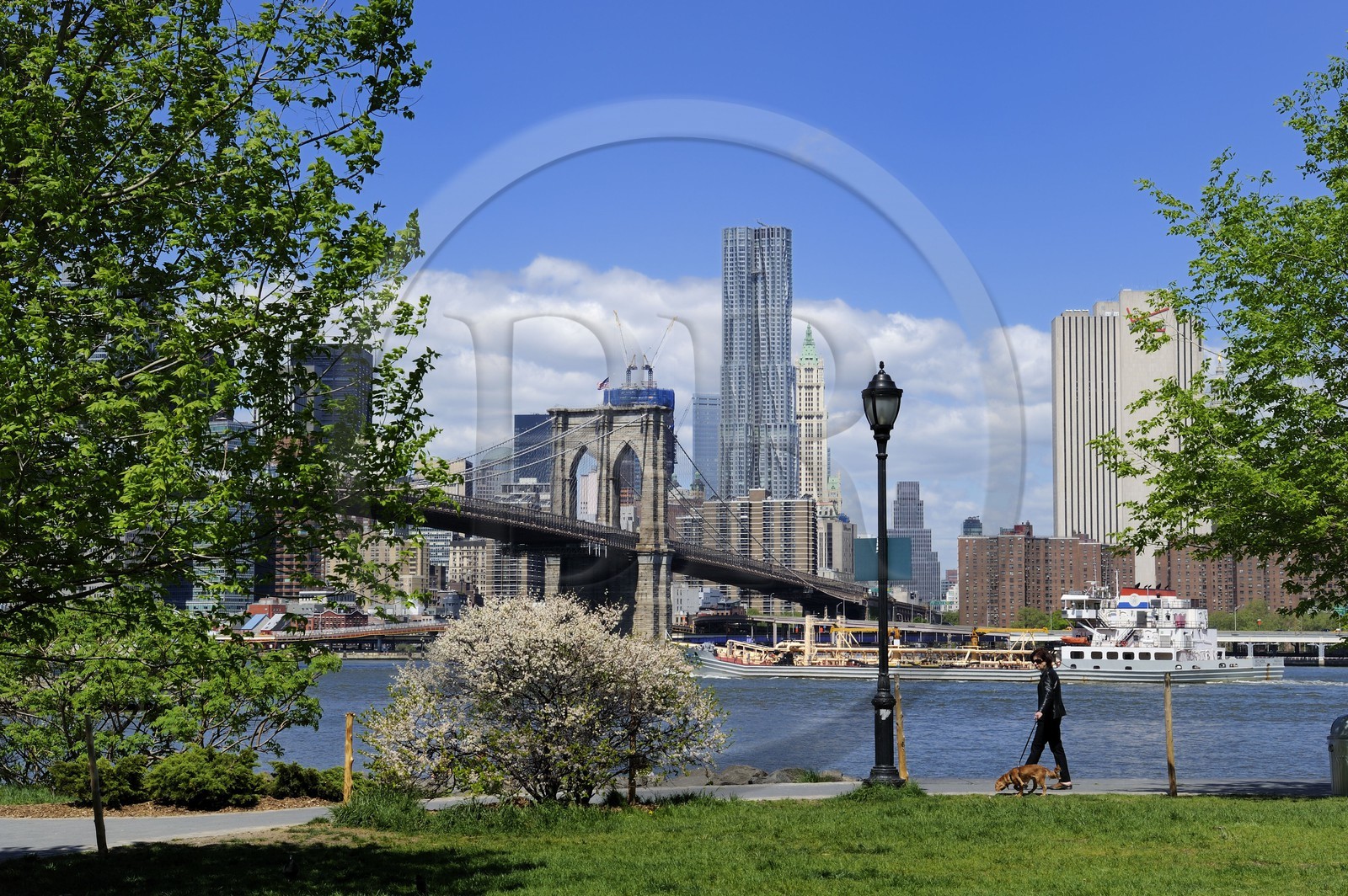 Etats-Unis, New York, le Pont de Brooklyn depuis Brooklyn Bridge Park et la Beekman Tower de l'architecte Frank Gehry