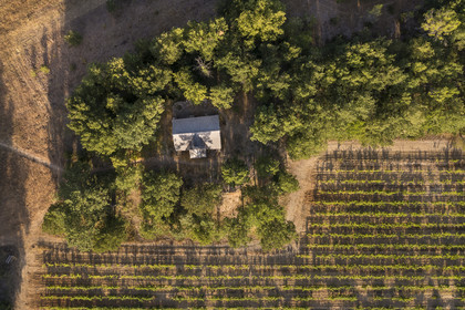 France, Var (83), Provence Verte, Bras, vers Saint-Maximin-la-Sainte-Baume, la maison d'hotes Le Peyrourier - une campagne en Provence, la chapelle templière reconstruite (vue aérienne)