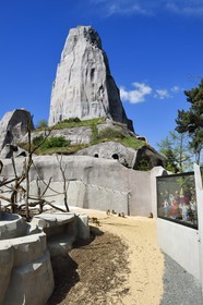 France, Paris (75), Le Parc zoologique de Paris (Zoo de Vincennes), la biozone Sahel-Soudan, babouins de Guinée (Papio papio) dans un vaste enclos sous le Grand Rocher qui est l’emblème du zoo depuis 1934