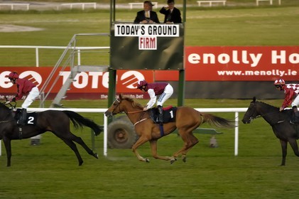 Irlande, Co. Meath, hippodrome de Fairyhouse, arrivée d'une course de chevaux
