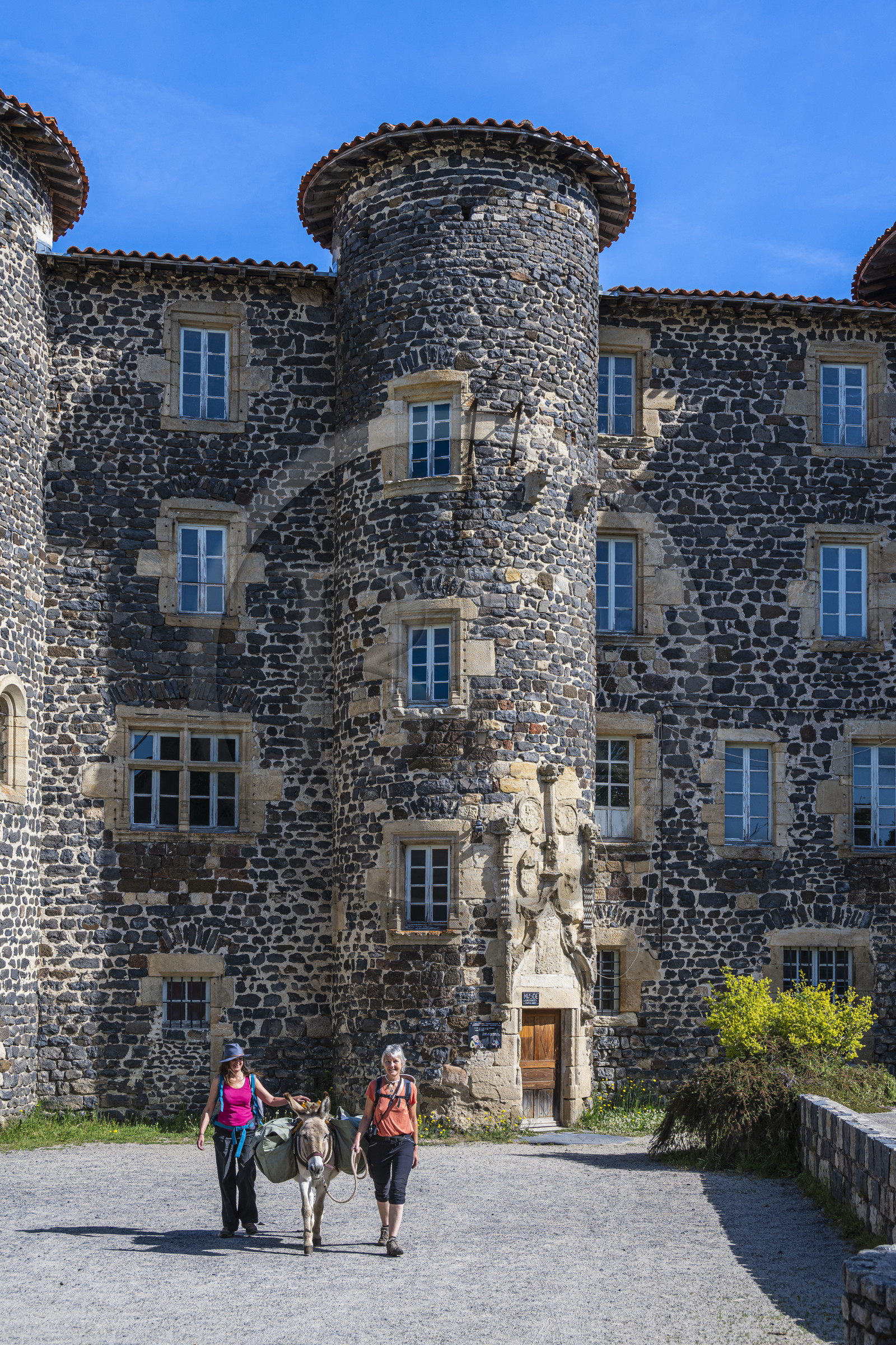 France, Haute-Loire (43), Le Monastier-sur-Gazeille, hiking with a donkey on the Robert Louis Stevenson Trail (GR 70) in front of the castle which houses the museum of popular beliefs