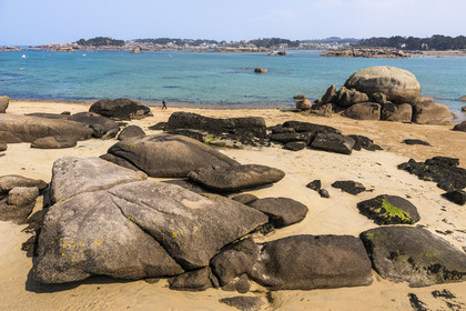 France, Côtes-d'Armor (22), Côte de Granit Rose, Trégastel, Ile Renote, le chaos granitique émerge de la plage à marée basse
