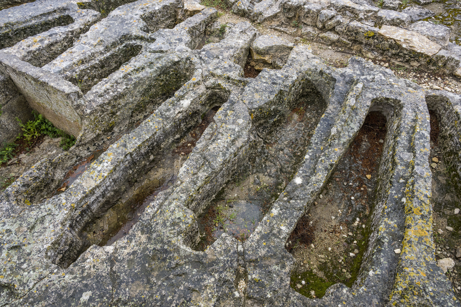 France, Gard (30), Beaucaire, abbaye troglodytique de Saint-Roman, nécropole sur le sommet accueillant des centaines de sépultures creusées dans le rocher