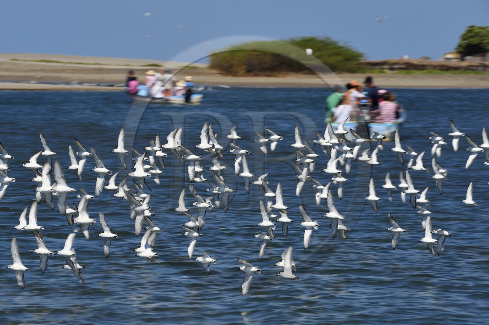 Nicaragua, the Pacific coast of Leon, Isla Juan Venado Nature Reserve, Las Penitas beach