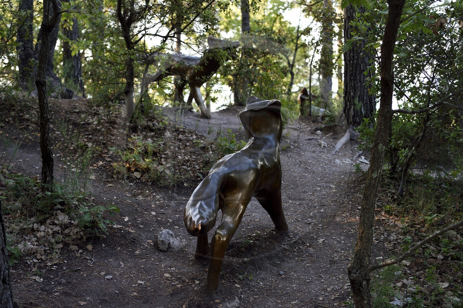 France, Bouches du Rhone,  Le Puy Sainte Reparade, Chateau La Coste vineyard and contemporary art center, Foxes by the artist Michael Stipe (Compulsory Mention)