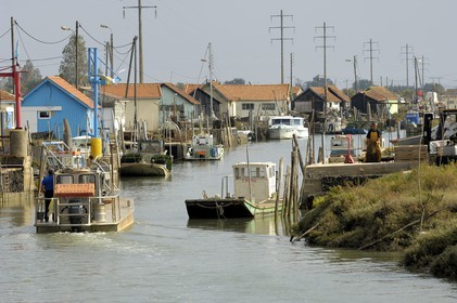 France, Charente-Maritime (17), Ile d'Oléron, le chenal d'Ors, chaland à huîtres dans le port ostréicole