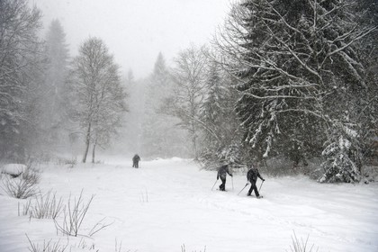 France, Haute-Savoie (74), Arâches-la-Frasse, station de ski Les Carroz d'Arâches, randonnée en raquettes