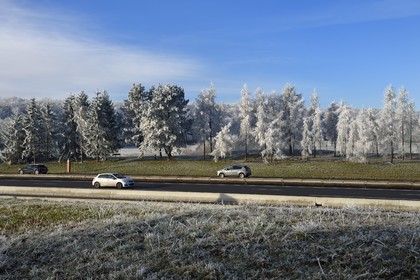 France, Bas Rhin, Saverne region, frosted trees along the A4 motorway