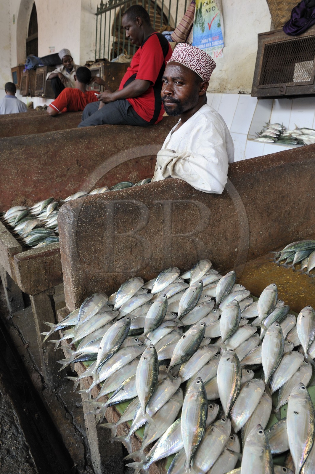 Tanzanie, Zanzibar, Stown Town, le marché de Darajani, marché au poissons