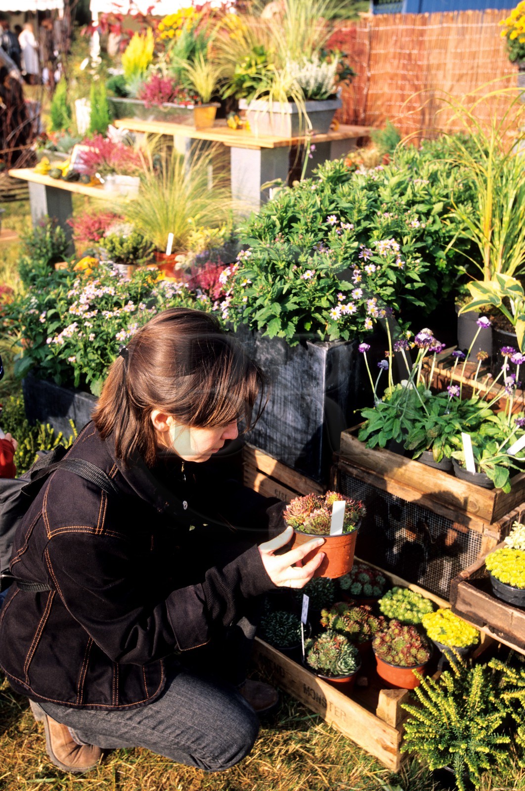 France, Essonne (91), château de Courson, 2 fois par an a lieu une ìgrande journée des plantes