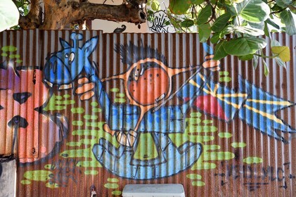 France, Ile de la Reunion, ville de Saint-Pierre, Street Art par l'artiste Mehdi.MLC dans le quartier de la plage