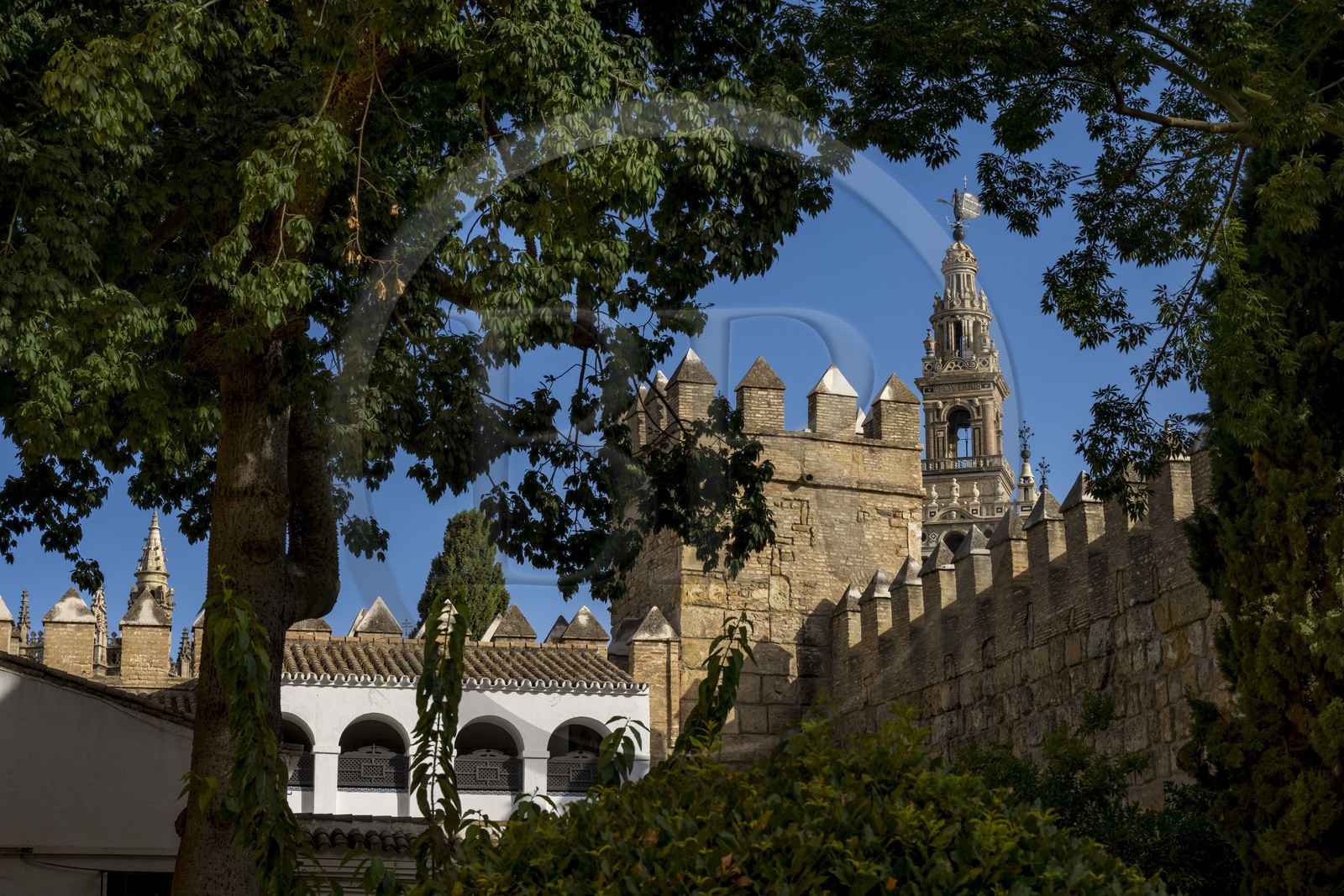 Espagne, Andalousie, Séville, Alcazar de Séville (Reales Alcazares de Sevilla), classé Patrimoine Mondial de l'UNESCO, les remparts et la Giralda en arrière plan