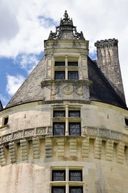 France, Dordogne, Périgord Vert, Villars, Renaissance style Puyguilhem castle, decorated skylight top at the top of the tower