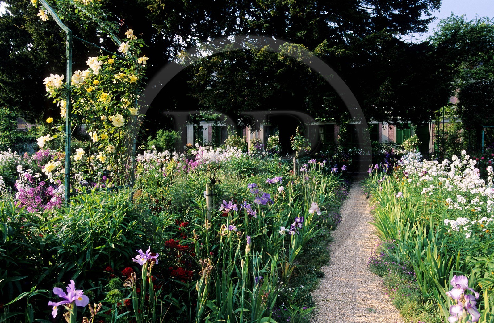 France, Eure (27), Giverny, jardin de Claude Monet, fleurs de mai