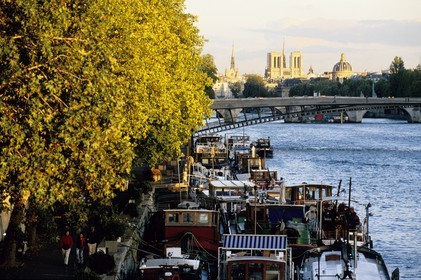 France, Paris (75), rives de la Seine classées Patrimoine Mondial de l'UNESCO, une péniche amarrée au port des Tuileries