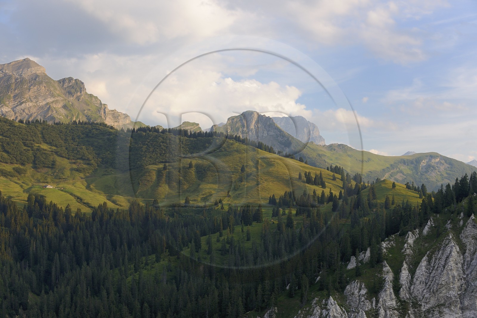 Switzerland, canton of Vaud, Les Diablerets at Col de la Croix