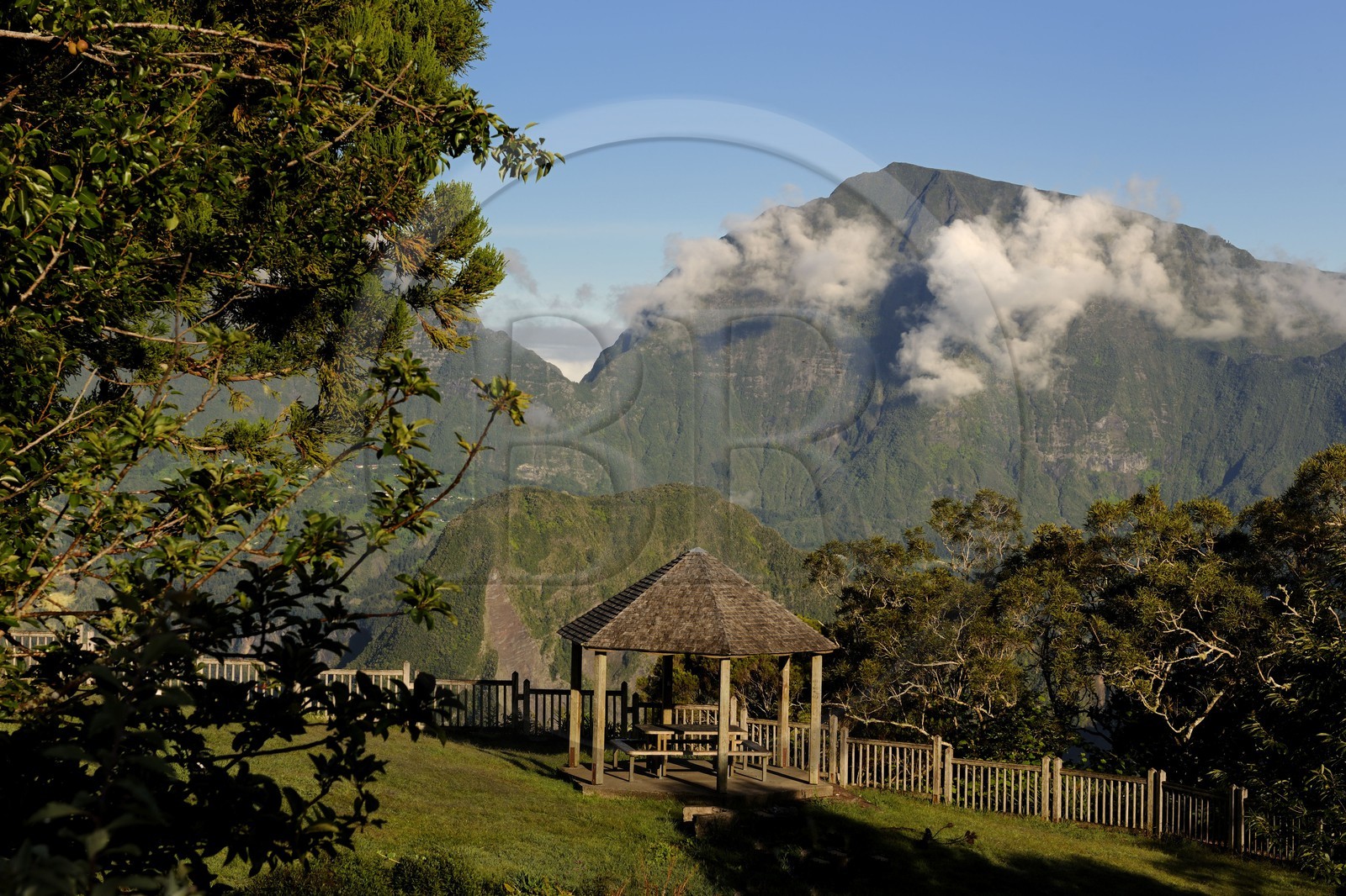 France, île de la Réunion, forêt de Bélouve, gîte de Bélouve