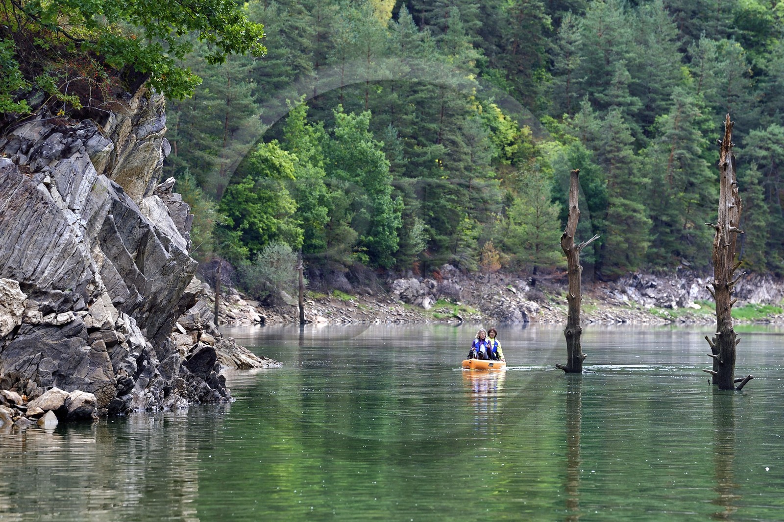France, Cantal (15), Gorges de la Truyère, Chaliers, découverte en kayak à pédales de la rivière Truyère en amont du viaduc de Garabit et troncs d'arbres morts vestiges de la foret noyée