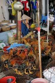 Vietnam, Haiphong, marché, vente de poules