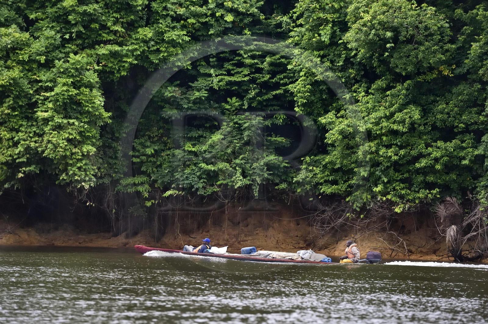 Gabon, Moyen-Ogooue Province, Lambaréné region, motorized canoe going up the Ogooue river