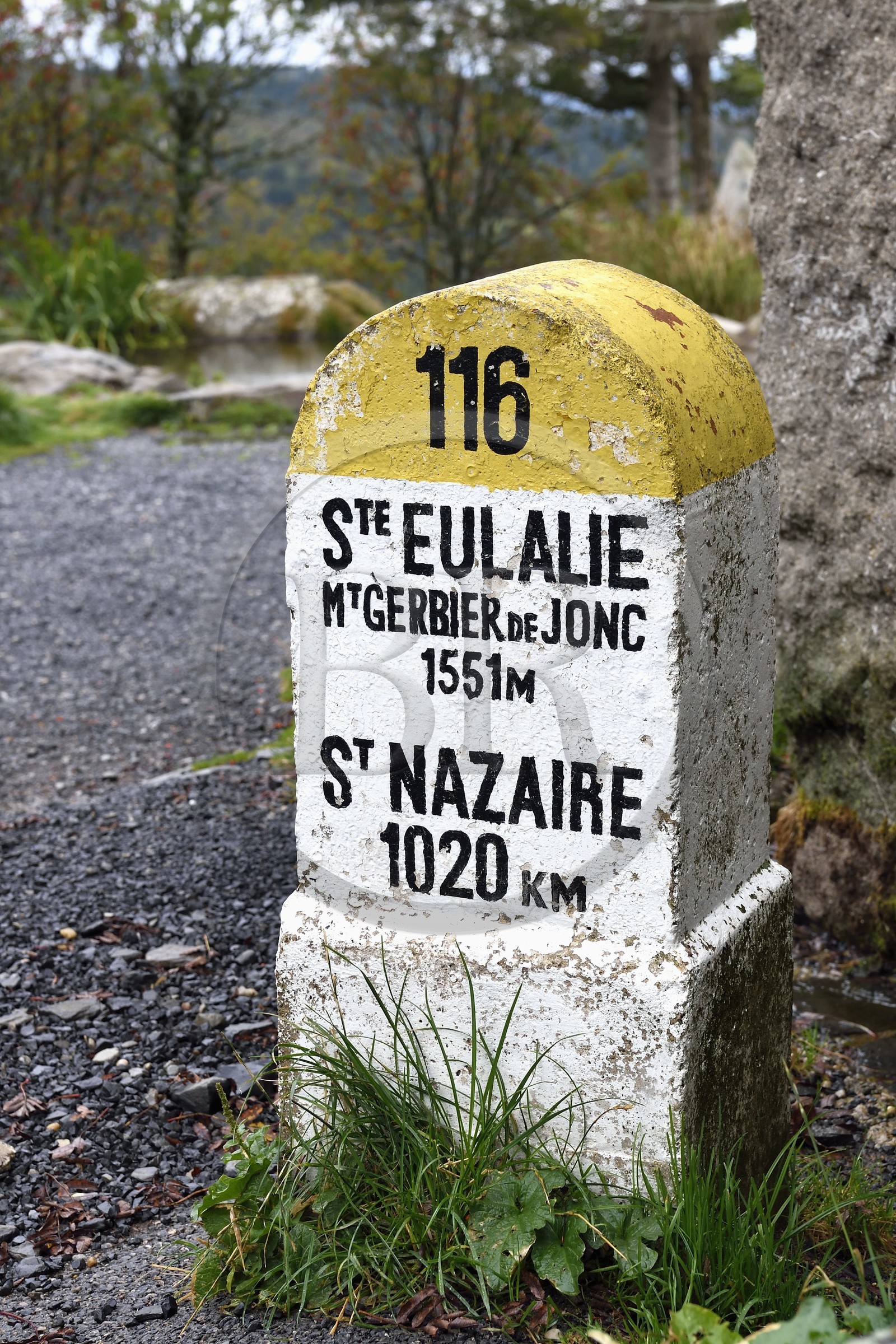 France, Ardeche, parc naturel regional des Monts d'Ardeche (Regional natural reserve of the Mounts of Ardeche), at Mont Gerbier de Jonc (altitude of 1551m), among the three sources of the Loire, the geographical source milestone in front of the Ferme de la Loire of Mr. Eric Maréchal at Sainte Eulalie